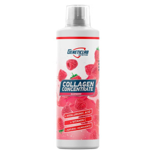 Geneticlab, Collagen Support, 500 мл (20 порций)